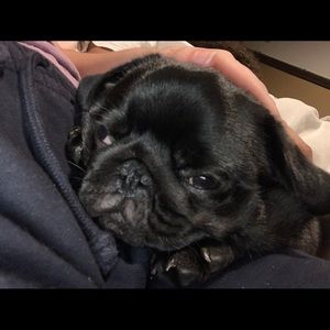 Meet your Posher, Jaylee